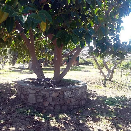L' Odyssee Apartamento Agia Fotia (Sitia)